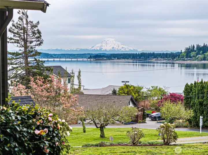 Imagine this view from the comfort of your own home overlooking Fox Island, the Fox Island Bridge, Hale Pass and Mt. Rainier as your backdrop!