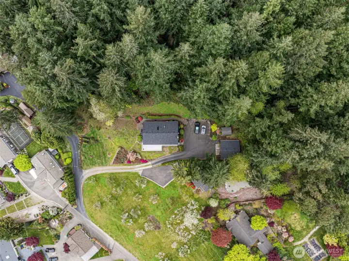 Aerial view of the property and home, situated on .50 acre.