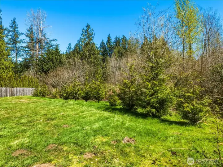 Private yard with lots of trees