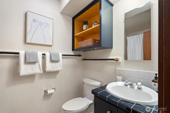 Lower level full bathroom