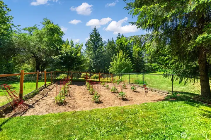 fenced garden space