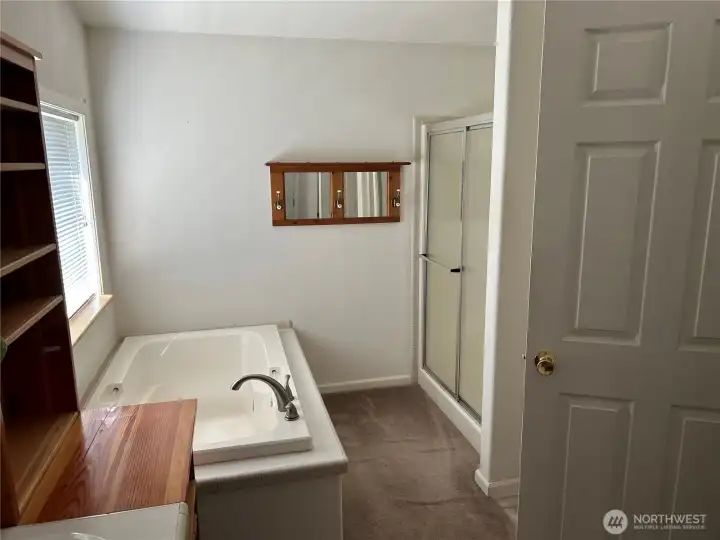 Separate soaking tub from standup shower with glass doors