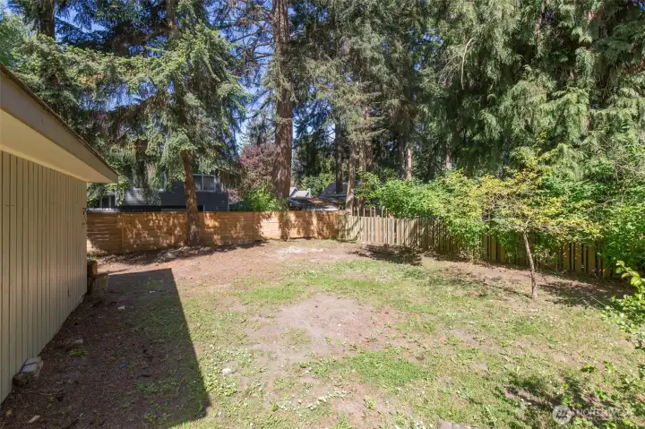 Side yard
