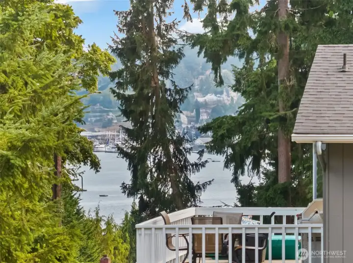 View from the porch