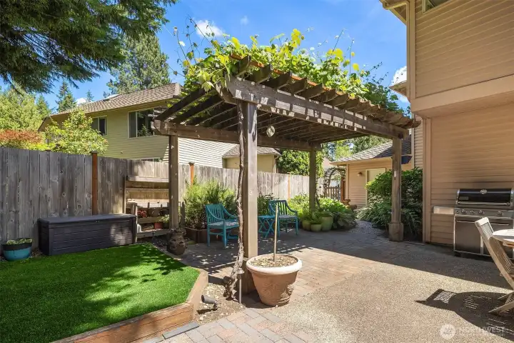 A lovely back patio Pergola with grape vines  &  garden space