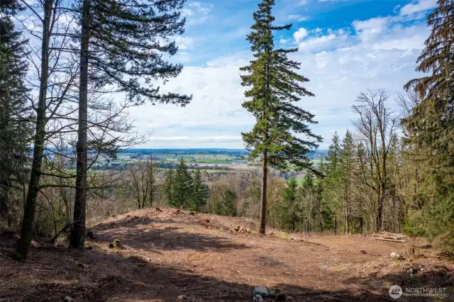 Ideal build site