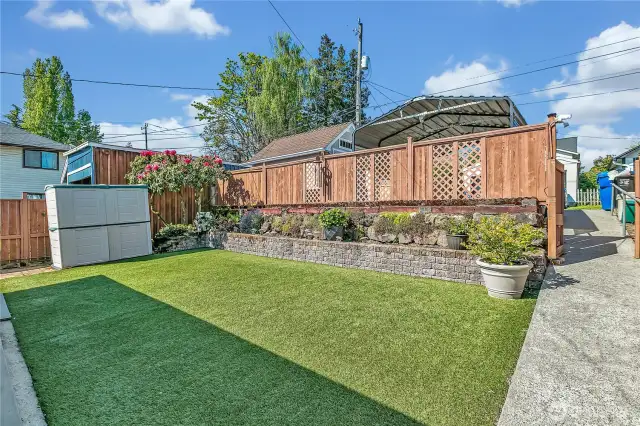 This grass never needs mowing.