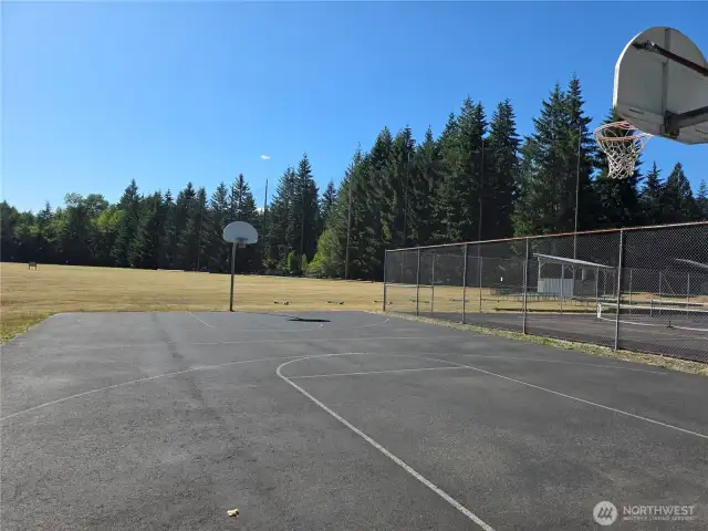 Basket ball court