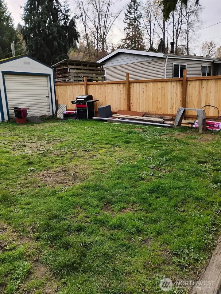 yard and new cedar fence