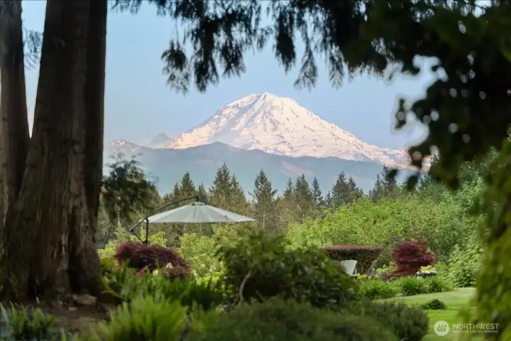 Stunning Mt. Rainier views from the property.