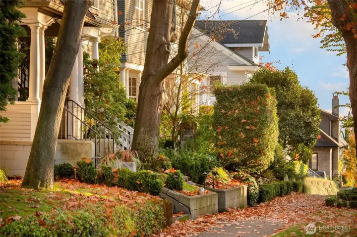 Queen Anne's residential streets remain defined by mature landscaping, historic homes and a pedestrian scale that feels increasingly rare within the city.