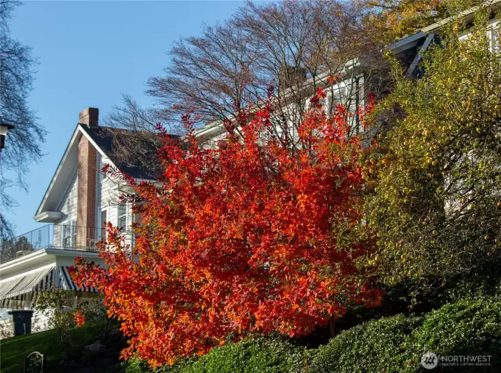 Throughout the seasons, mature trees and established landscaping soften the urban environment and contribute to the neighborhood's enduring residential character.