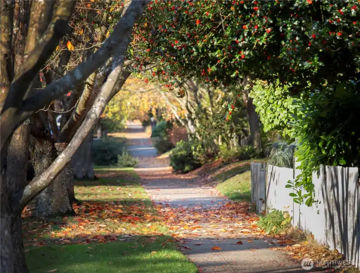 Tree-lined sidewalks invite walking, connecting parks, shops, restaurants and everyday conveniences throughout the neighborhood.