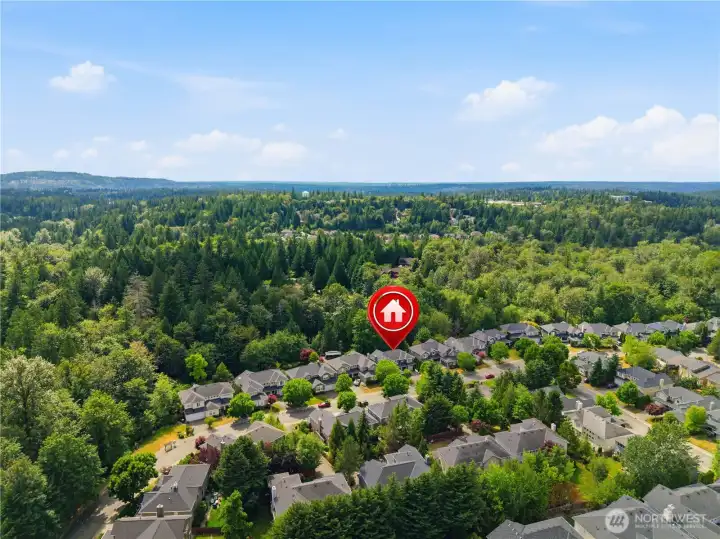 A second aerial perspective highlighting the peaceful, tree-lined streets and the natural greenbelt that frames Renaissance Ridge. A second aerial perspective highlighting the peaceful, tree-lined streets and the natural greenbelt that frames Renaissance Ridge.