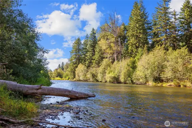 Over 240 ft of Yakima River frontage!