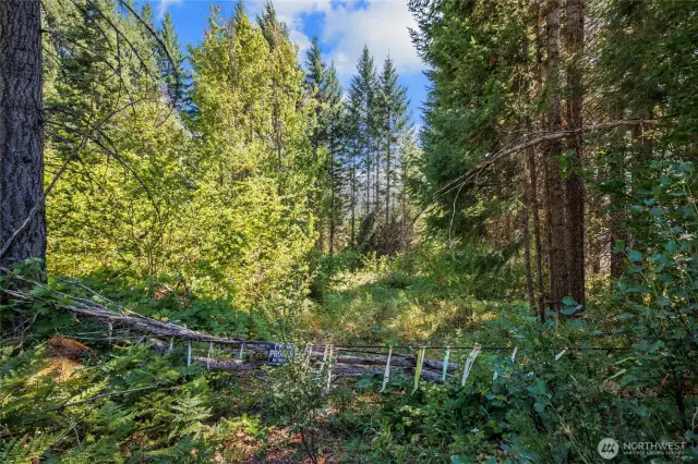 Property access off BPA road
