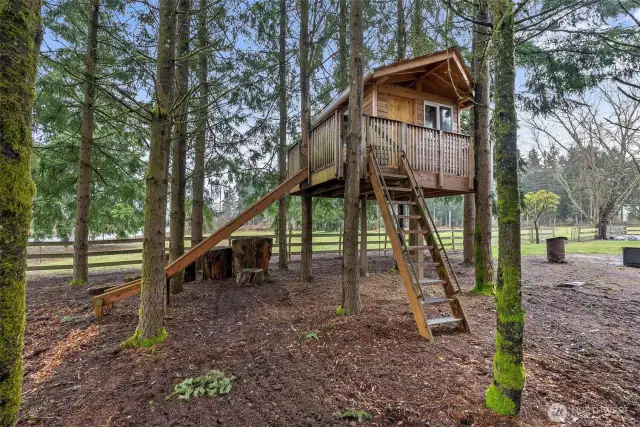 Magnificent Tree House