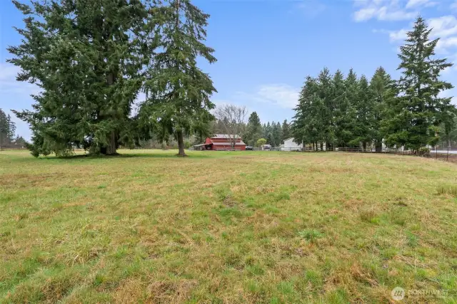 Pasture Area