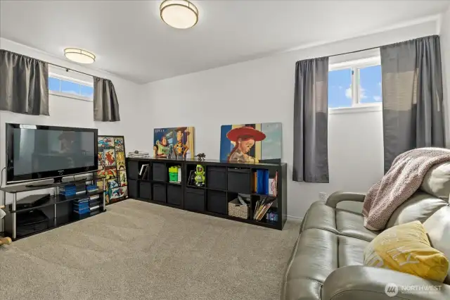 Bonus/media room