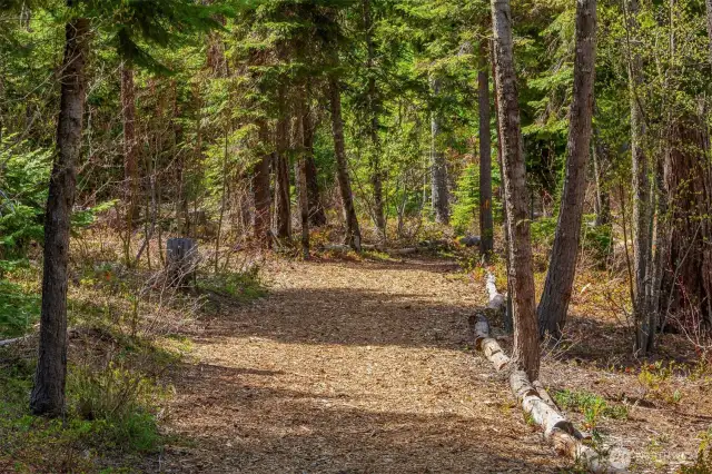 Neighborhood hiking trail  providing access to the national forest is right out your back door.