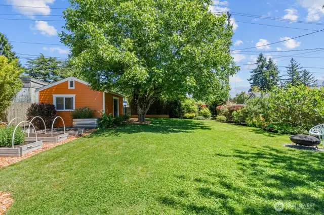 Cottage and Walnut Tree