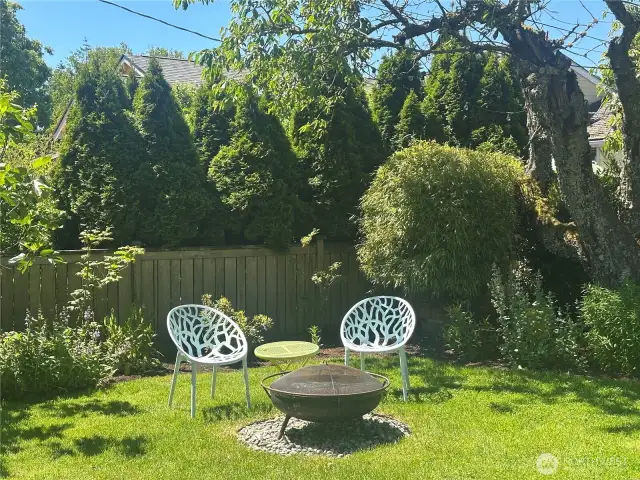 Firepit Area
