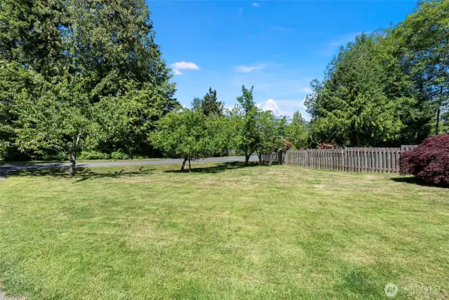 Large yard with fruit trees