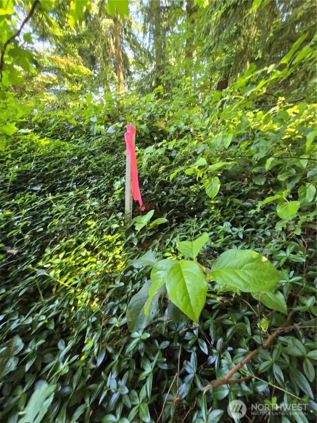 Southwest survey corner