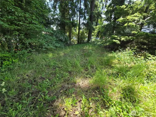 build site main floor