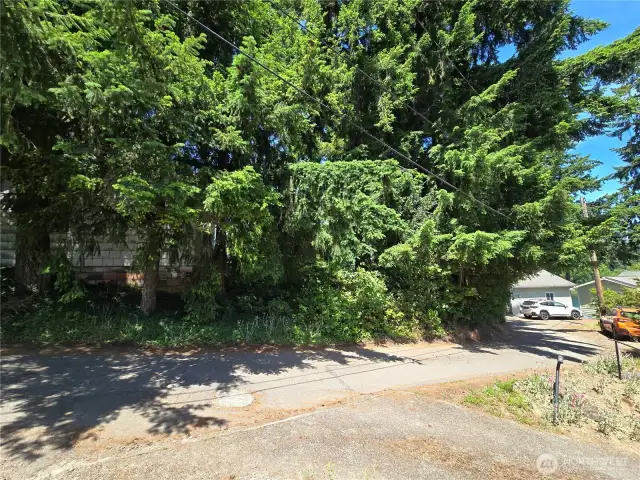 South west corner of lot is survey marked in the trees.
