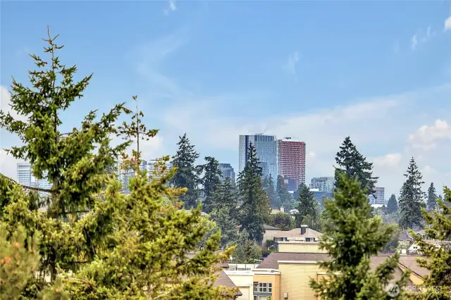 View from rooftop deck.