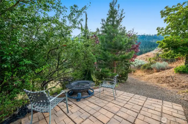 fire pit in the lower yard