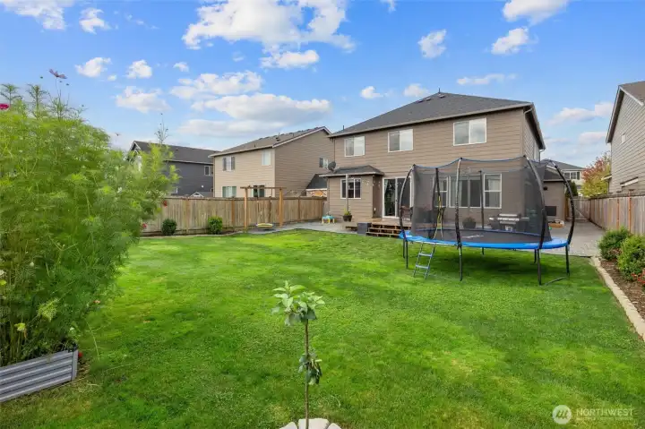 large backyard