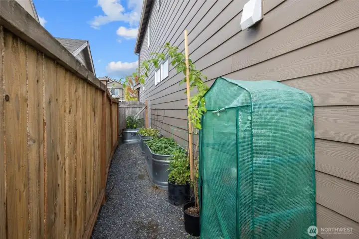 South side of home, veggie garden
