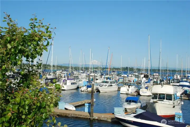 Mount Baker the 3 sisters view.