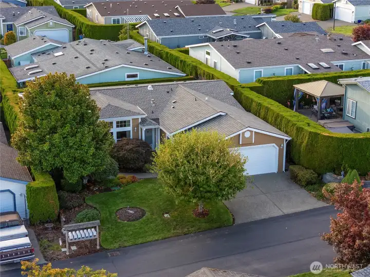 aerial photo#2