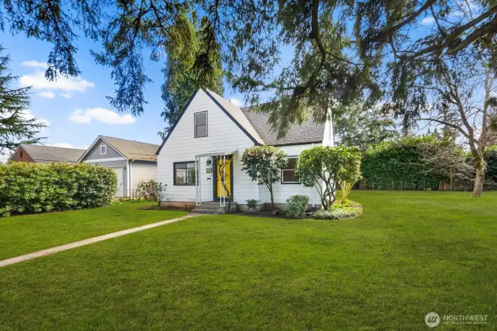 Craftsman with mature foliage - hedges, Red Rhodedendrons, White Climbing Hydrangeas, White Cone Hydrangeas, Pink Camila Tree, Weeping Japanese Pagoda Tree, Walnut Trees, Lilac Tree, 2 Japanese Maples in backyard, Lilies, Rose Bush, Rhubarb, Hellebores Christmas Flower