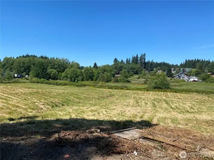 Pasture