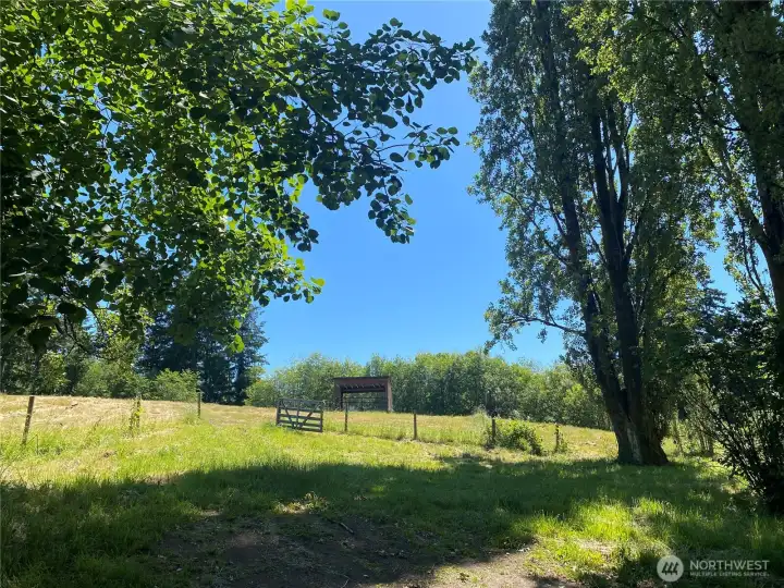 Upper pasture-fully fenced!