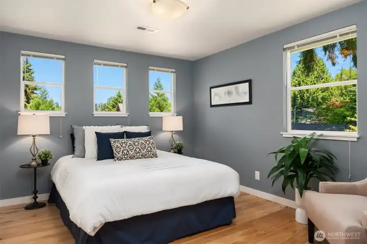 Primary Bedroom - Gorgeous Double-Hung Windows - Natural Light