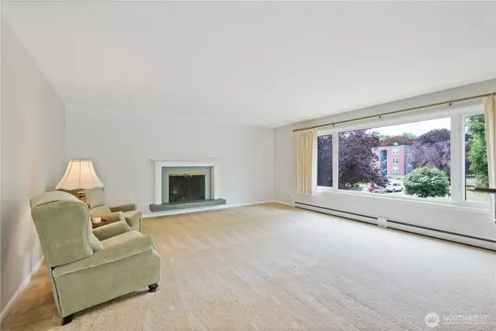 Large living space with view of park and cozy fireplace.
