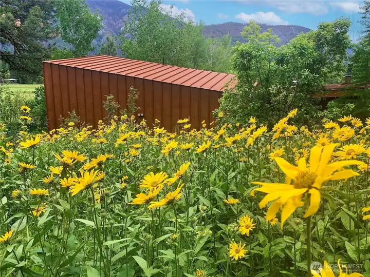 The property comes alive with native wildflowers in springtime. The property comes alive with native wildflowers in springtime.
