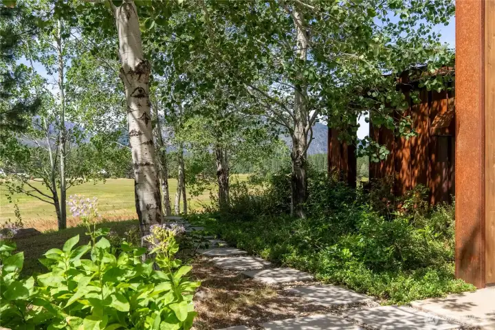 Mature aspen provide dappled shade in summertime and are a haven for native birds. Mature aspen provide dappled shade in summertime and are a haven for native birds.