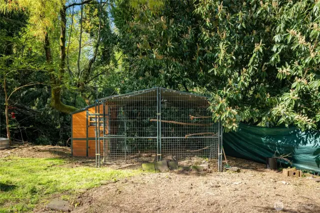 Chicken Coop is ready for your flock!