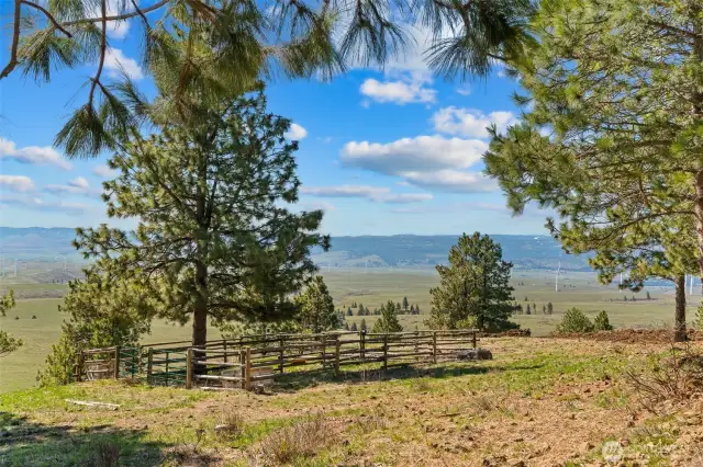 A corral for you or your guests to bring the horses.