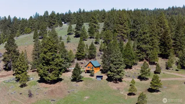 The trees are arranged perfectly and maximize the amazing views.