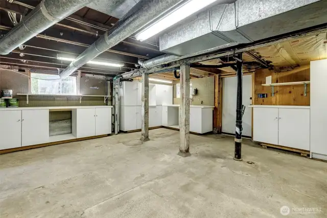 Partial unfinished basement accessed from outside, under the rear deck.  Good work and storage space here - ceiling height is about 6'2".