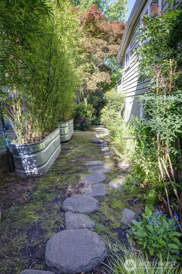 South side yard.