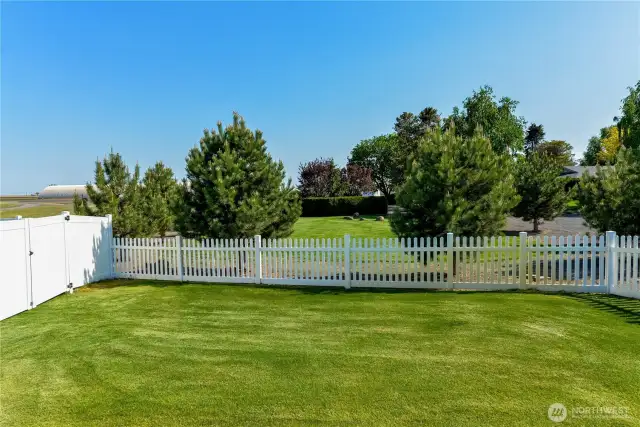 Side yard looking S