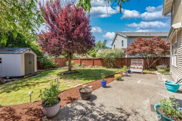 Expanded patio with ample room for seating and barbeque area.